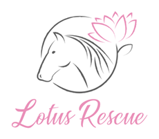 Lotus Rescue